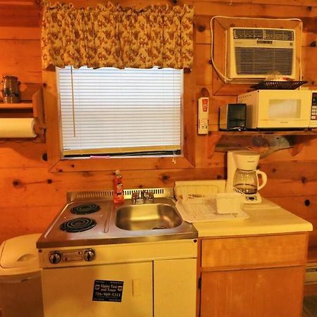 Alpine Mountain Sweetheart Cabin Jacuzzi #8 Helen Luaran gambar